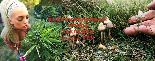 a pvp Нея