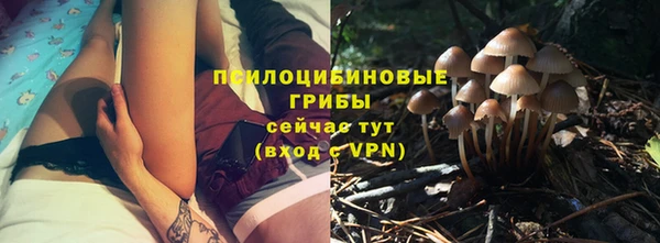 a pvp Нея