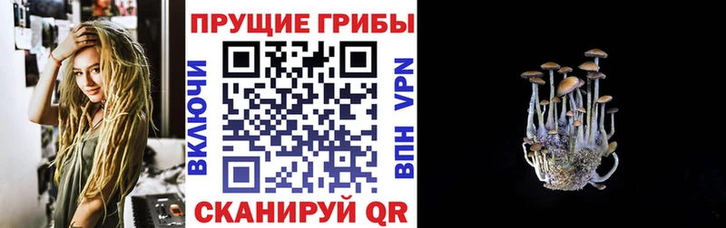 Псилоцибиновые грибы мицелий  что такое   Иланский 